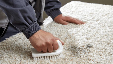 Professional Rug Cleaning Barwon Heads